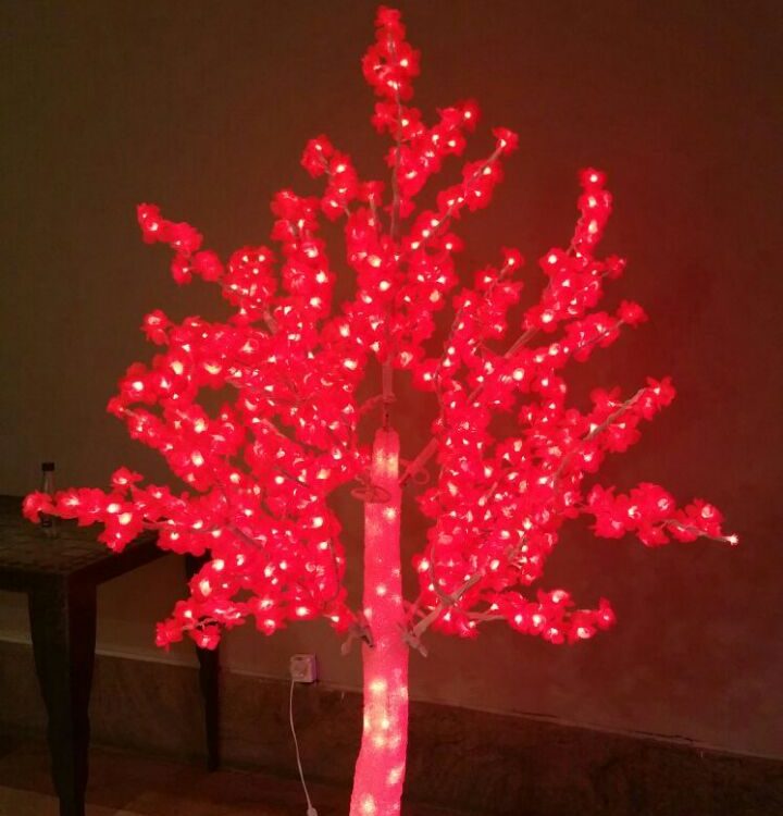 דקורציה לאירועים באילת